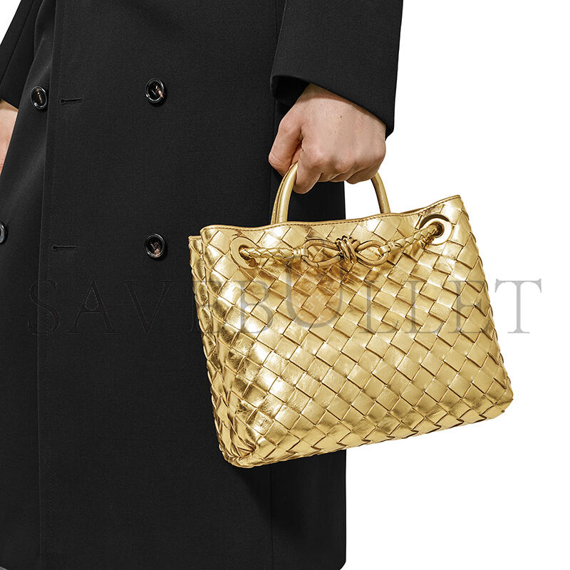 BOTTECA VENETA SMALL ANDIAMO 766014V4P148922 (25*20*10cm)